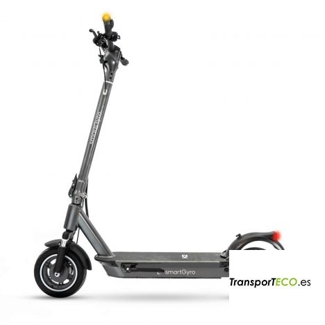 Adult Electric Scooters