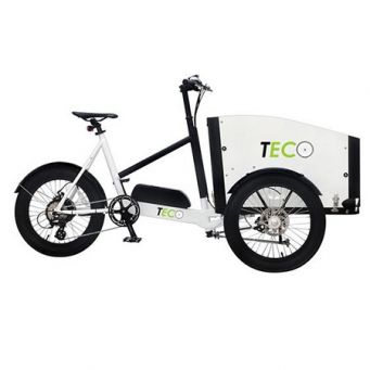 Teco store electric bike