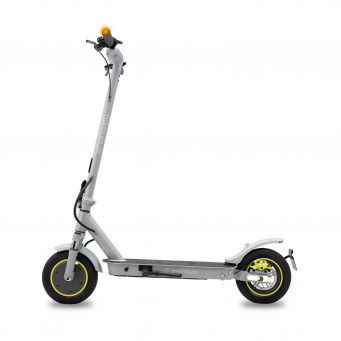 Adult Electric Scooters