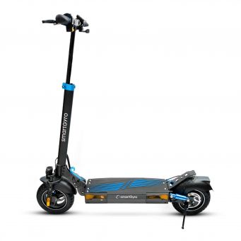 Adult Electric Scooters